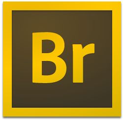 Adobe Bridge cs6绿色版【Br cs6破解版】绿色版