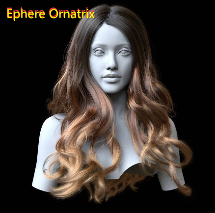 Ephere Ornatrix 8.1.4 for 3ds 