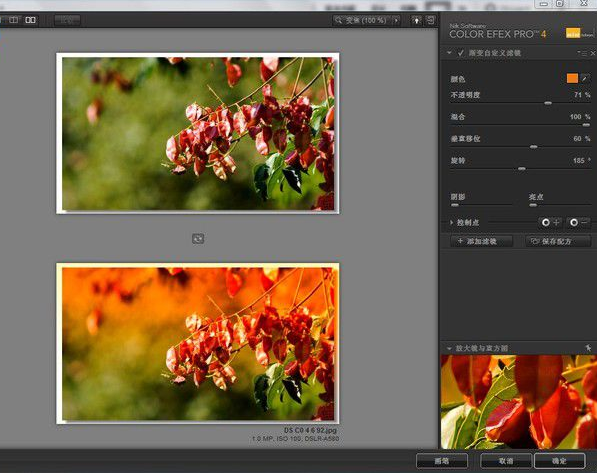 PhotoShop ColorEfexPro4-pl-ver4.005all插件中文破解版【PS ColorEfexPro4】