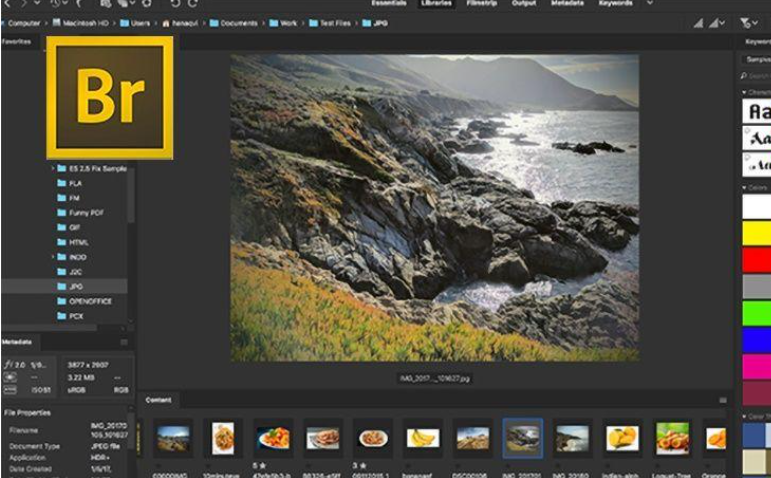 Adobe Bridge CC2021 绿色破解版