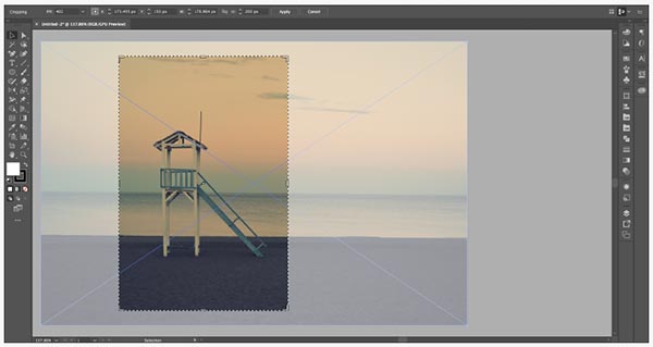 Adobe Illustrator CC2019 功能展示