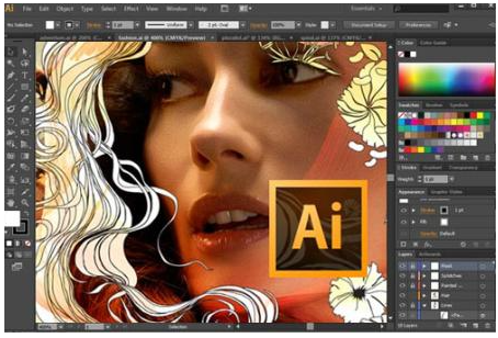 Adobe Illustrator Cs6中文版