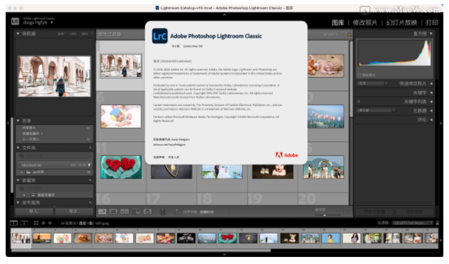 Adobe Lightroom 2021亮点展示