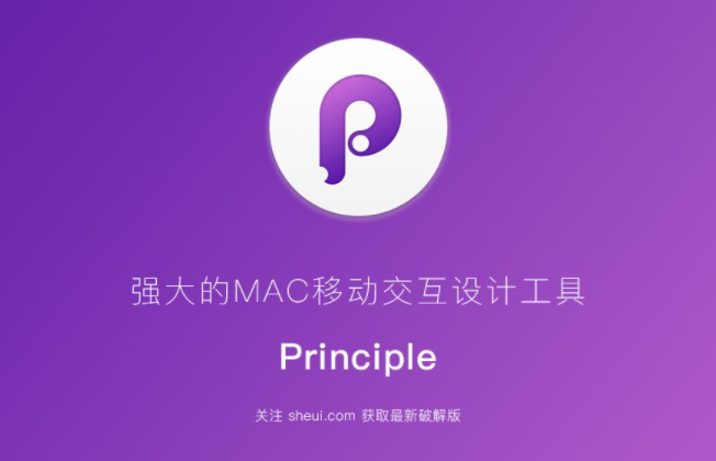 Principle 6.10 动作效果制作软件