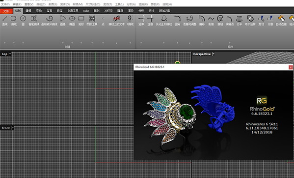 RhinoGold 6.6设计展示