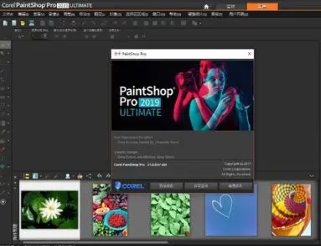 Corel PaintShop Pro 2019 图形设计软件