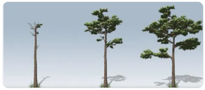 SpeedTree 7.0