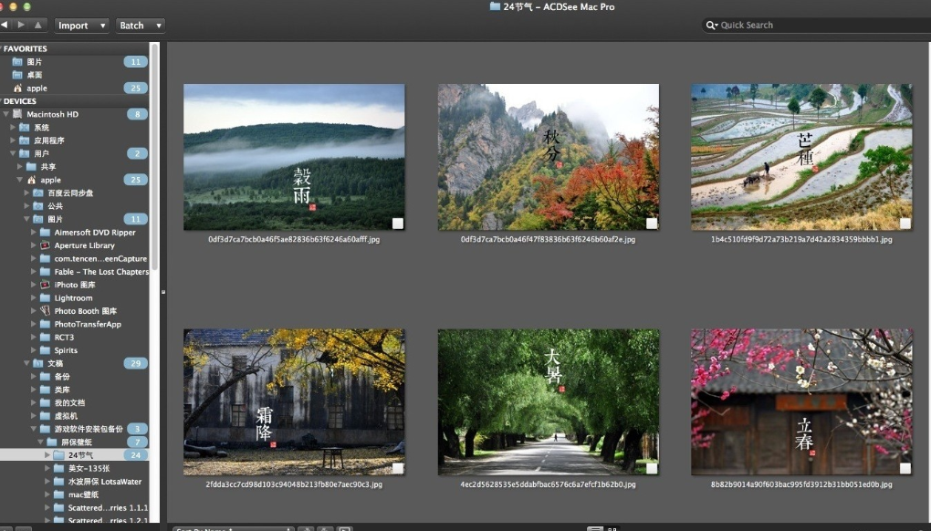 ACDSee Pro 4 For Mac功能展示