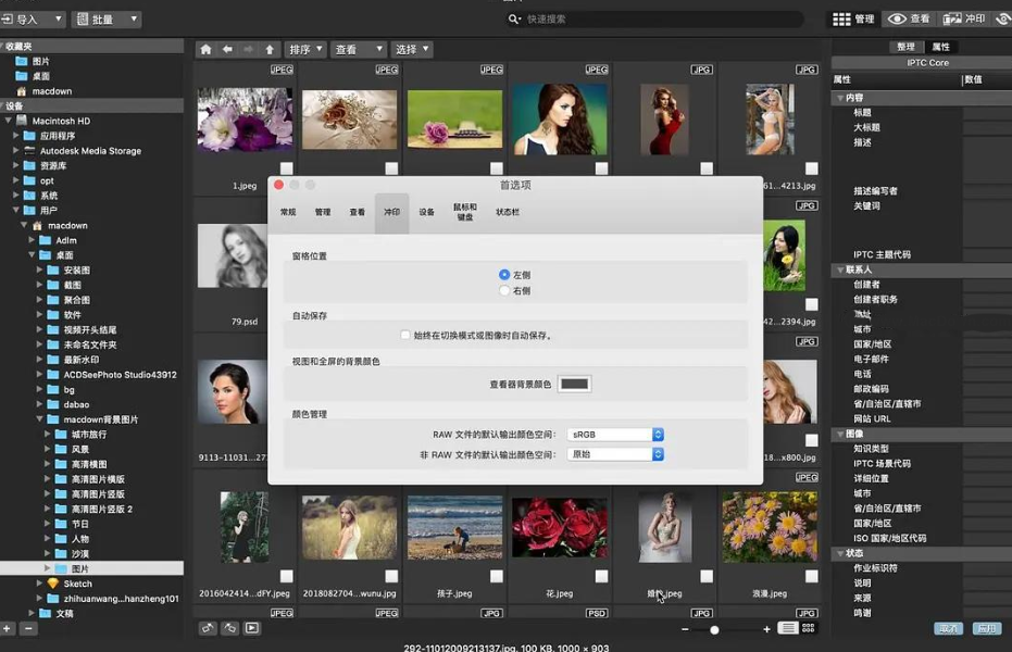 ACDSee Photo Studio for Mac7 官方版截图