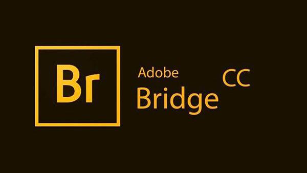 Adobe Bridge CC2022资源管理软件