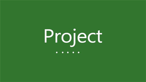 Microsoft Project 2021 项目管理软件