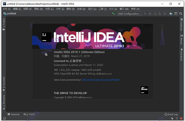 IntelliJ IDEA 2019.3.3 Java编程工具 绿色中文版免费下载