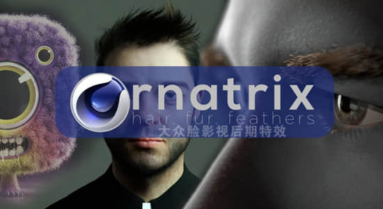 C4D头发毛发羽毛模拟插件：Ornatrix v2 2.0.