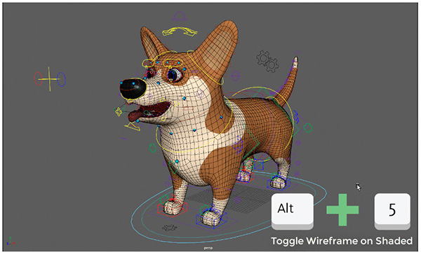 Autodesk Maya 玛雅 2020 中文绿色版