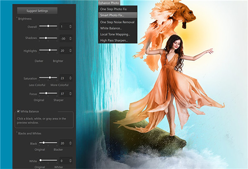 Corel PaintShop Pro 2021 效果展示