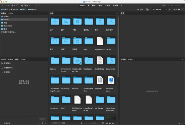 Adobe Bridge 2022 For Mac版资源管理软件更新