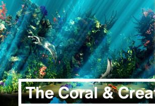 【Blender插件】Blender海洋珊瑚动植物模型预设 The Coral & Creatures Collection V1.0