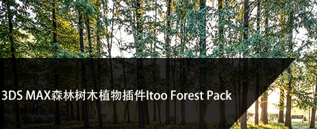 3DS MAX森林树木植物插件+模型库：Itoo Forest Pack Pro 6.3.1 for 3ds Max 2014-2021免费破解版