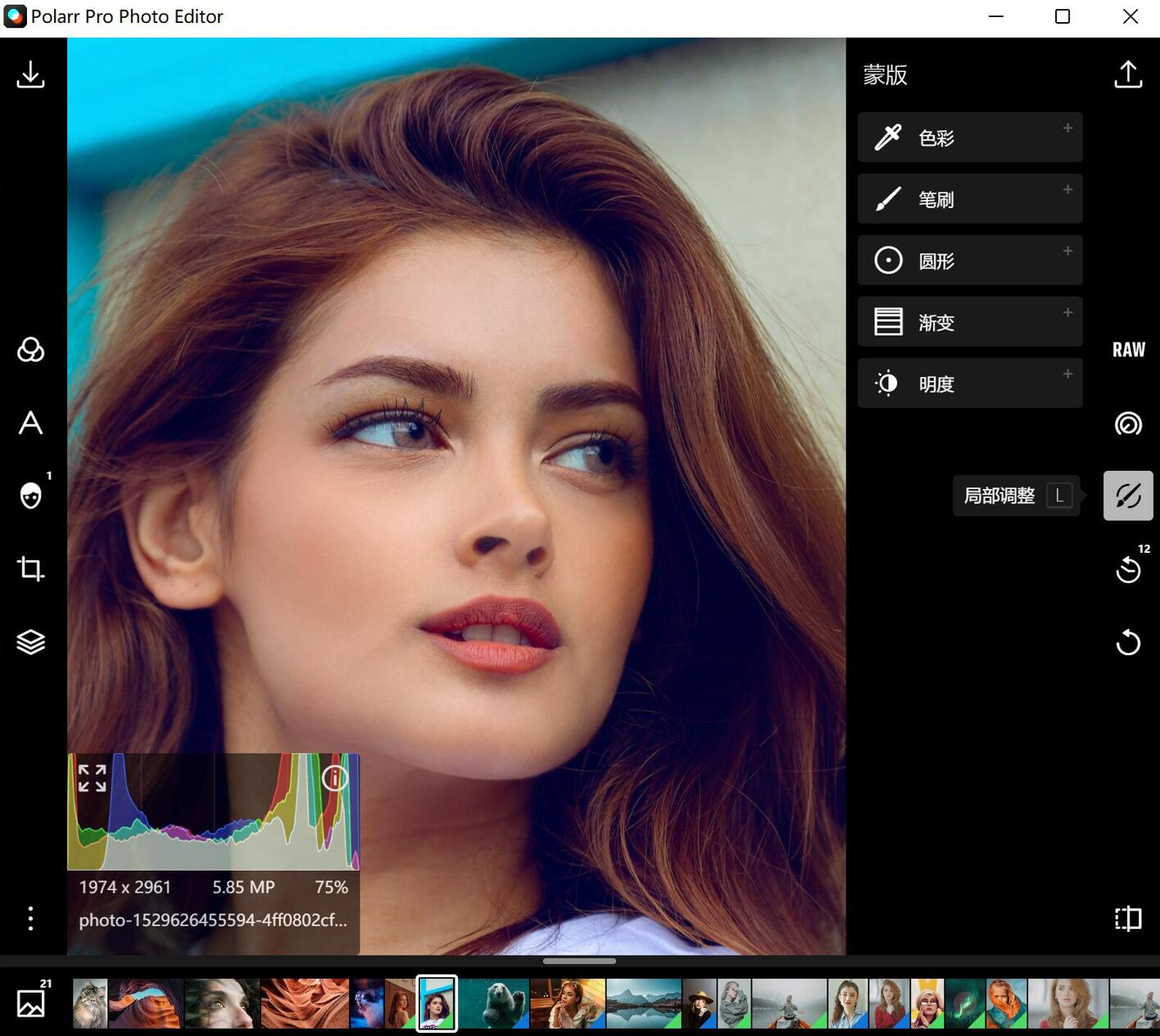 泼辣修图Ploarr Pro Photo Editor v5.11.4 简体中文版