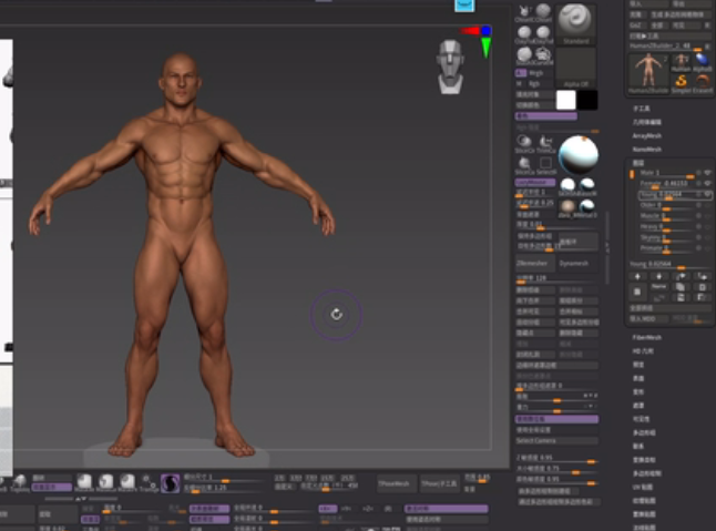 【Zbrush插件人体生物模型下载】Human ZBuilder v3免费版支持Zbrush 2020/2021或者更高版本