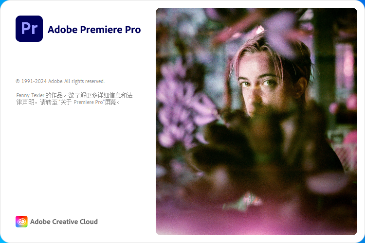 Adobe Premiere Pro 2024 高级视频编辑