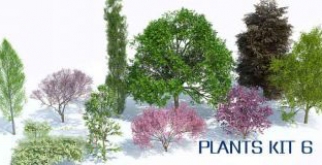 植物树木生成插件Laubwerk Plants Kit 6 For 3DsMax/Maya/C4D