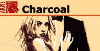 AKVIS照片黑白粉笔画插件Charcoal For Photoshop-PaintShop v2.0.335.13548