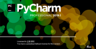 pycharm2019汉化版【pycharm2019】中文破解版