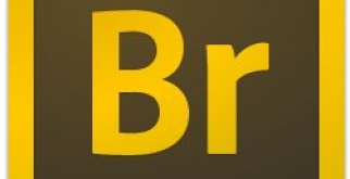 Adobe Bridge CC2021【Br cc2021破解版】中文破解版