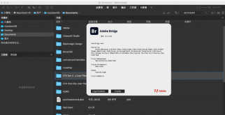 Bridge CC2022 for Mac M1 v12.0.2【支持M1芯片版Br】中文破解版下载